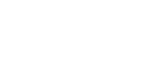 Fisiovital